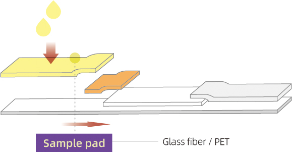 Glass fiber application cbt (2).jpg